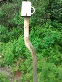 Der Garten im Sommer