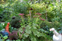 Der Garten im Sommer